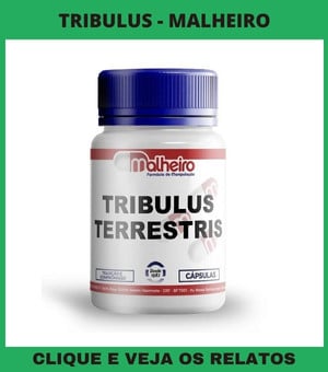 Tribullus Terrestris 500 mg cápsulas